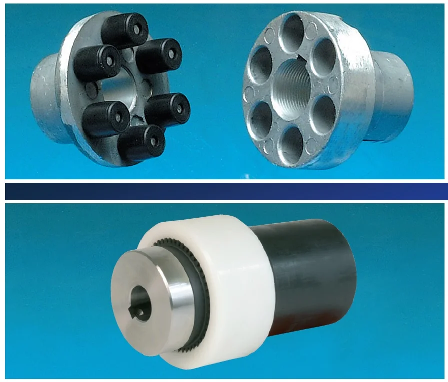 INTERPUMP ZG145TC