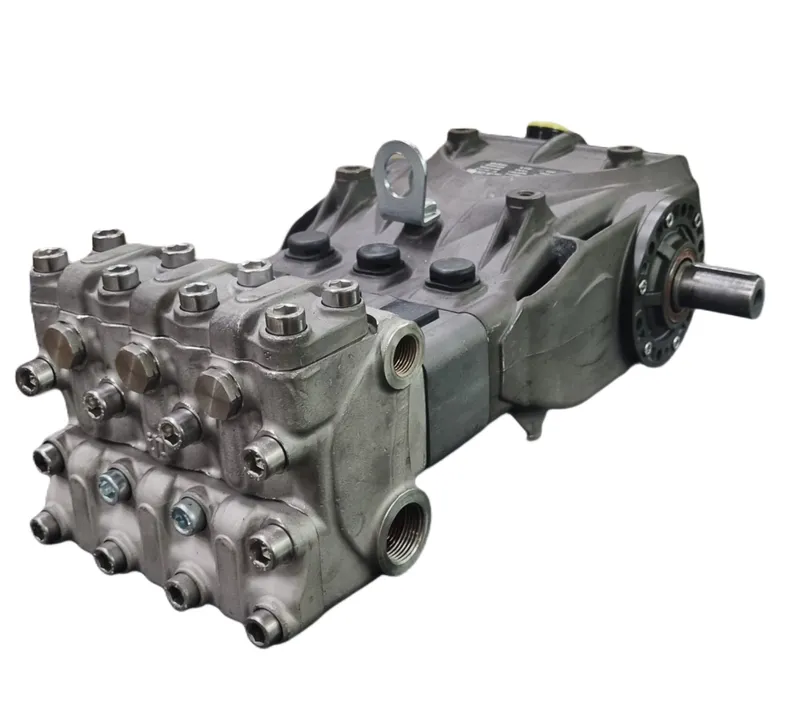 Pompe INTERPUMP Série 64 (SW)