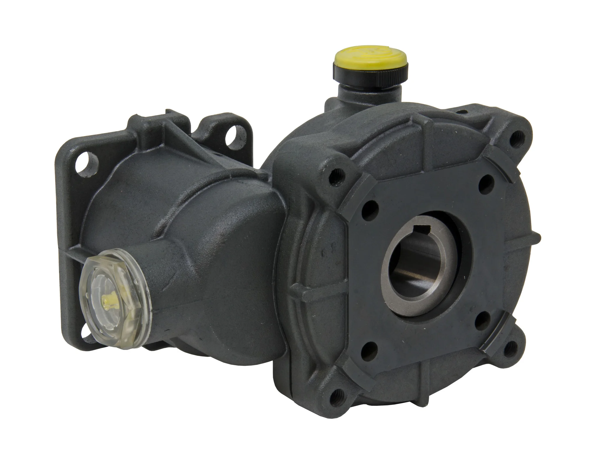 Multiplicateur INTERPUMP RS99