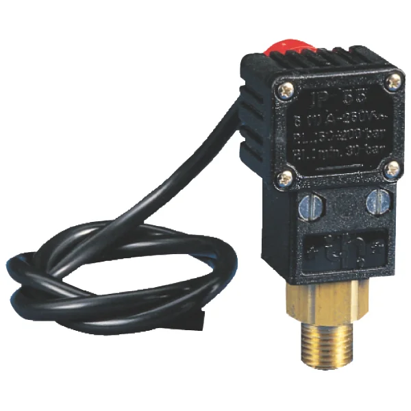 Accessoire INTERPUMP SIMPLEX-3