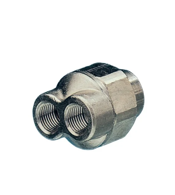 Buse INTERPUMP TESTINA DOPPIO UGELLO